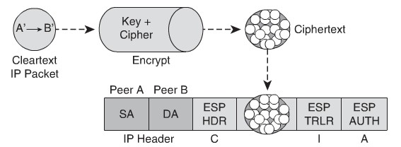 Explain IKE Protocol Functionality and Phases Fig 3